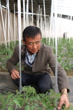 看“生命的禁区”瓜果飘香——噶尔县生态农业产业园 - 西安网