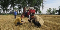 西安市“三夏”小麦开始零星收获 - 农业机械化信息