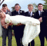 澳新娘被伴郎团举起摆拍完后“扔”在地上 - 西安网