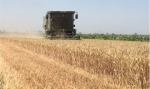 渭南市机收小麦超过五成 - 农业机械化信息