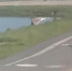 美短吻鳄爬上机场跑道逼停正在滑行飞机 - 西安网