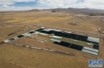 （环境）（3）西藏：持续推进治沙造林工作 筑牢生态安全屏障 - 西安网