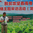 【脱贫攻坚在行动】广东“桂林”：贫困村里来了位“茶博士” 自此幸福奔小康 - 西安网
