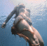 夏威夷章鱼吸附潜水员腿上 偷懒搭顺风车 - 西安网