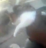 哥伦比亚残酷少年高空扔猫引公愤 女友在旁大笑 - 西安网