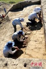 发掘现场。陕西省考古研究院 供图 - 陕西新闻