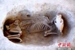 马坑。陕西省考古研究院供图 - 陕西新闻