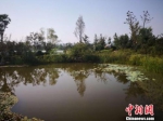 陕西沿黄观光路助力区域旅游发展 沿线争享“红利” - 西安网