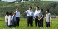 写在首个“中国农民丰收节”：喜看稻菽千重浪 亿万农民庆丰收 - 西安网