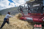 首个中国农民丰收节！ 今年这些政策值得关注 - 西安网