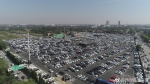 兵马俑景区游人过9万停车场如马赛克 已采取限流措施 - 西安网