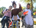 西安秦岭野生动物园丨国庆假期接待游客24.56万人次、同比增长47.5% - 西安网