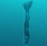 意大利女潜水员一口气下潜107米破纪录 - 西安网