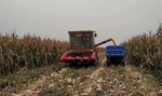 渭南市玉米机收接近尾声 - 农业机械化信息