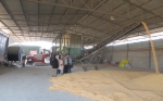 西安市农机总站开展玉米籽粒收获+烘干一体化试验示范 - 农业机械化信息