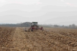 榆林市召开玉米籽粒直收现场会 - 农业机械化信息