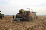 榆林市召开玉米籽粒直收现场会 - 农业机械化信息