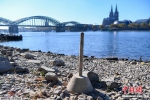 德国莱茵河因高温干旱水量达历史最低 - 西安网