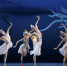上海歌舞团出品的舞剧《朱鹮》获中国版权金奖 - 西安网