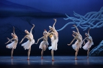 上海歌舞团出品的舞剧《朱鹮》获中国版权金奖 - 西安网