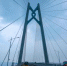 港珠澳大桥使用人次创开通以来新高 27日达5.9万 - 西安网