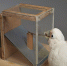 真聪明！凤头鹦鹉竟能用纸板当工具获取食物 - 西安网