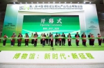 第八届博博会   大唐西市博物馆荣获“最佳展示奖” - 西安网