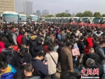 资料图：69辆大巴载着南京及周边城市3300多人分线路开赴64家楼盘。 朱晓颖 摄 - 西安网