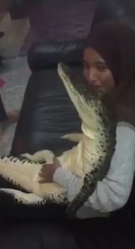 马来西亚一女子带鳄鱼回家只为自拍 - 西安网