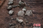 出土的铜器。陕西省考古研究院 供图 - 陕西新闻