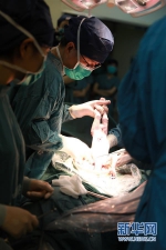 中国首个移植子宫内孕育宝宝在西京医院出生 - 西安网