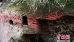 还游客清白 乐山大佛景区岩壁的孔洞是天然形成 - 西安网