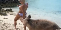 健身模特巴哈马度假遭猪群追赶 臀部被咬伤 - 西安网