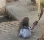 印度一只猴子绑架两岁儿童当玩伴 拒绝放手 - 西安网