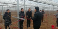 渭南市农机推广站调研特色产业发展 - 农业机械化信息