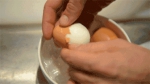 美国研究机构用18年发现"吃鸡蛋可能对健康有害" - 西安网