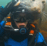 英一潜水员与灰海豹水中嬉戏并获其拥抱亲吻 - 西安网