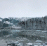 冰岛冰川崩裂激起巨浪 湖滨游客受惊纷纷逃命 - 西安网