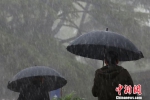 雷雨狂风“组团”锁定江浙沪 “包邮区”变暴雨区 - 西安网