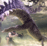 2019年4月15日报道，来自美国德州的48岁摄影师Eli Martinez在墨西哥钦乔罗浅滩（banco chinchorro）水域拍摄到一头美洲鳄。画面中，体型庞大的美洲鳄张开血盆大口在水下捕食， 作为一名游刃有余的猎食者，它似乎并不需要任何的学习就可以成功掌握捕食的技巧，为自己填饱肚子。 - 西安网