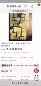 杭州"女股神"凉了！连输三套房5600万豪宅拍卖 - 西安网