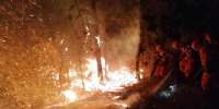 昆明龙池山发生山火 森林消防150人紧急扑救 - 西安网