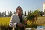 （爱国情 奋斗者·图文互动）（3）一颗稻谷里的爱国情怀——记“杂交水稻之父”袁隆平 - 西安网