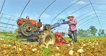 陕西“六大提升行动”推进农产品高质量生产 - 西安网