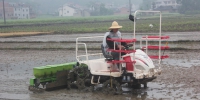 安康农机局积极推广水稻机械化直播技术 - 农业机械化信息