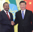 习近平会见埃塞俄比亚总理 - 西安网