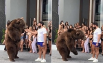 美一富豪派对上当众美女喂大棕熊遭众网友谴责 - 西安网