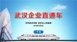 武汉开通“企业直通车”，政府部门在线“接单”即时交办 - 西安网