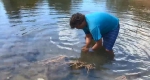 勇猛！澳男子为检验狩猎技能水中徒手抓鳄鱼 - 西安网