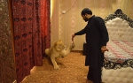 巴基斯坦男子家中圈养雄狮 称其像自己的孩子 - 西安网